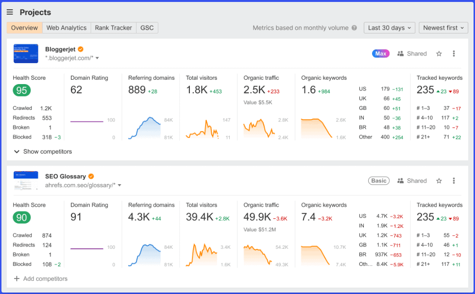 SEO audit dashboard.