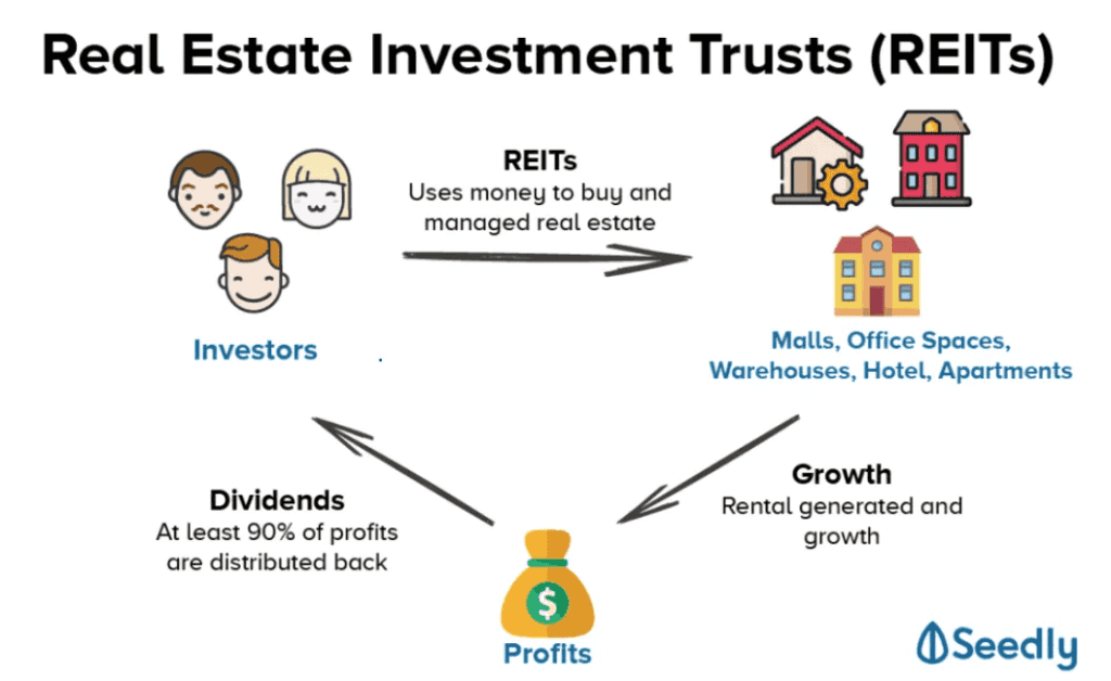 How REITs pool investor money into property management and return profits as dividends