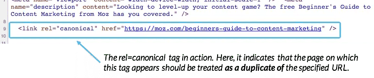 Canonical tag example.
